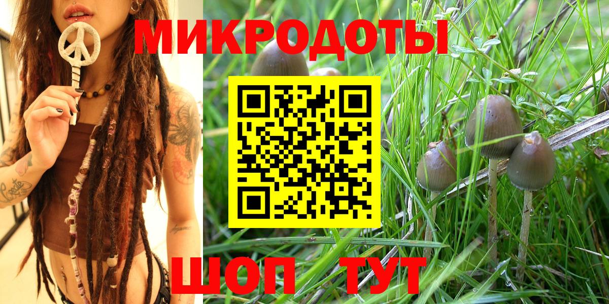 Галлюциногенные грибы GOLDEN TEACHER Минеральные Воды