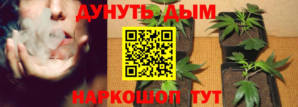 Бошки Шишки тримм Минеральные Воды